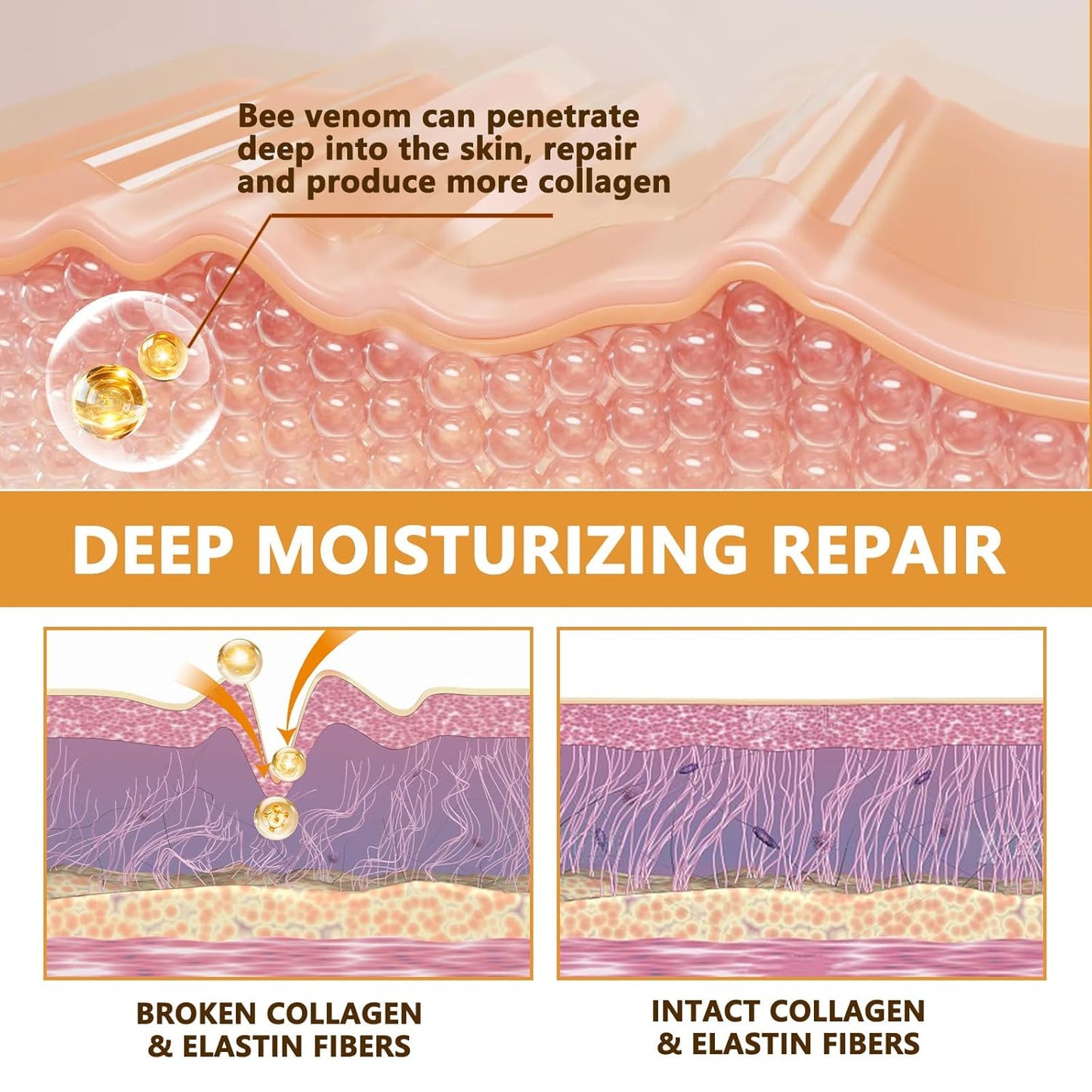 Botoxin Bee Venom Wrinkle Removal Cream, Anti-Aging, Restore and Enhance Skin Elasticity, Natural and Non-Irritating, Suitable for Sensitive, Dry, Oily Skin 0.71 Ounce (Pack of 3)