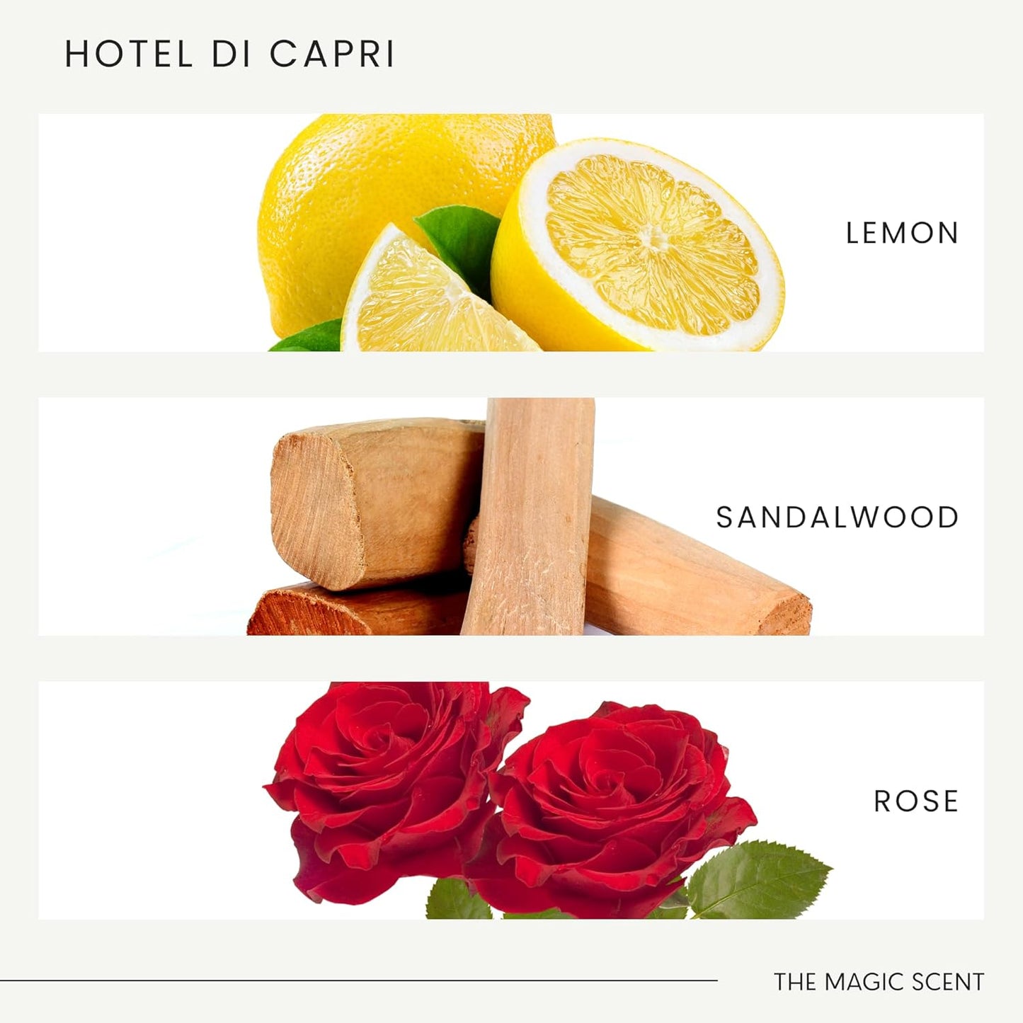 Hotel Di Capri Hotel Scent Diffuser Oil - Cold-Air & Ultrasonic Fragrance Oil for Diffuser - HVAC scents Inspired by Capri, Italy - Essential Oils for Diffusers - 8.5 fl oz, 250 mL