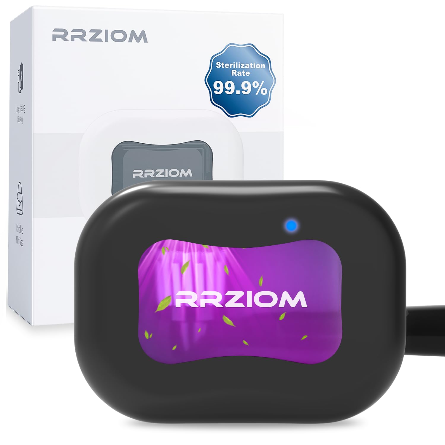 Toothbrushes & Accessories