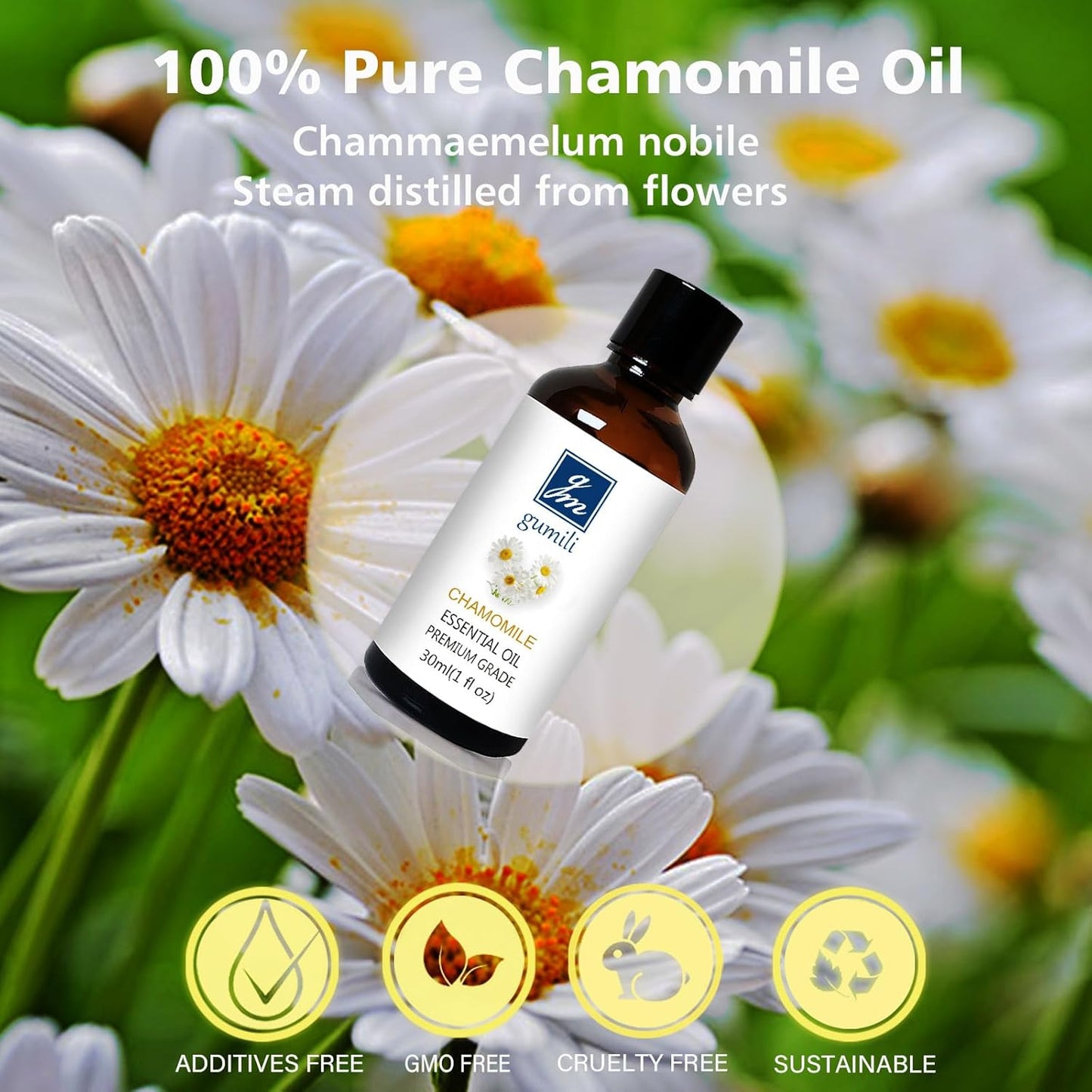 Chamomile Essential Oil 1 Oz - Pure Chamomile Oil for Skin, Relaxation & Aromatherapy, Diffuser, Massage & DIY