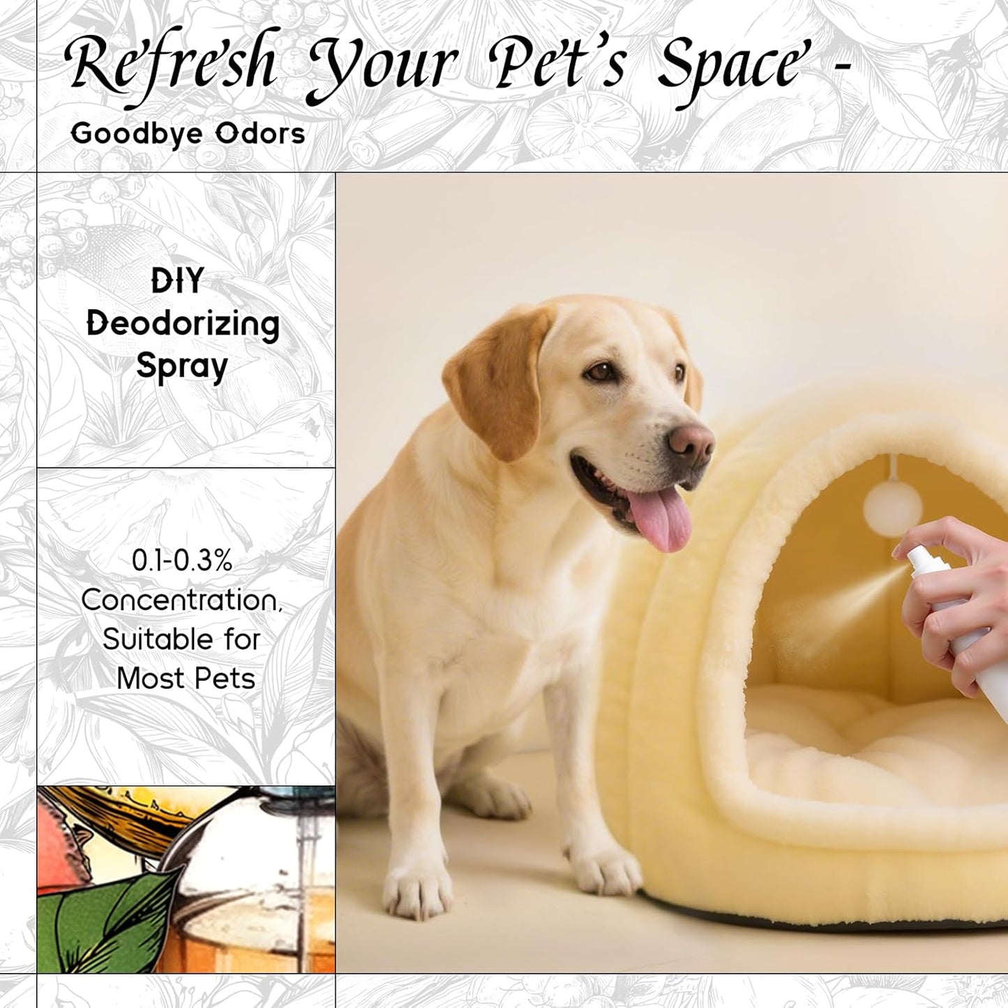 HIQILI Blood Orange Dusk Fragrance Oil for Diffuser, Inspired by Alr-Cologne Or.San-guine, Candle, Soap, Perfume, Spary Making, Citrus Scent, Long-Lasting Aroma - 1 Fl Oz