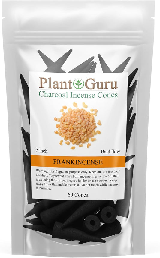 Frankincense Charcoal Incense Cones 2" BACKFLOW - 60 Pack Bulk - Natural Scented Cones Handmade Hand Dipped