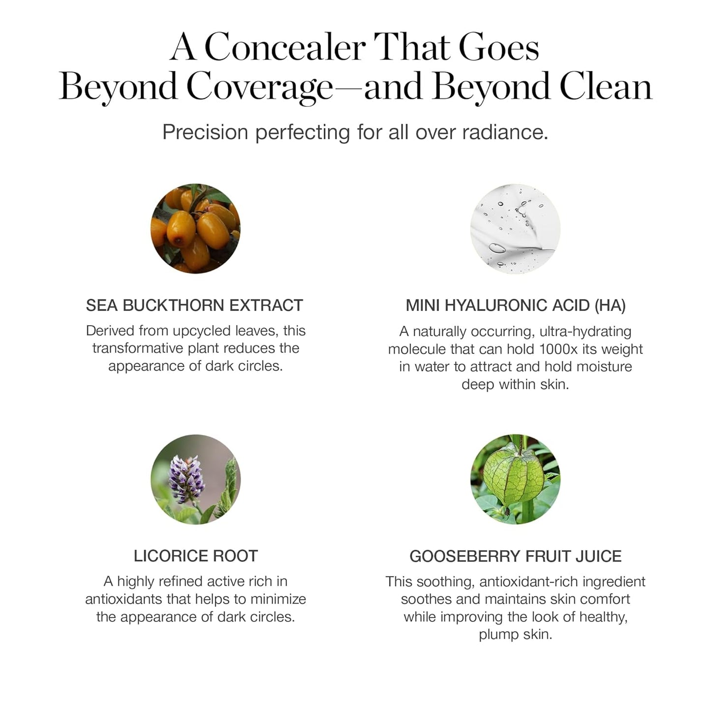 Ogee Complexion Perfecting Under Eye Concealer - Certified Organic Full Coverage Concealer - Buildable Coverage - LAUREL 6.50N - Medium (Neutral Undertones)