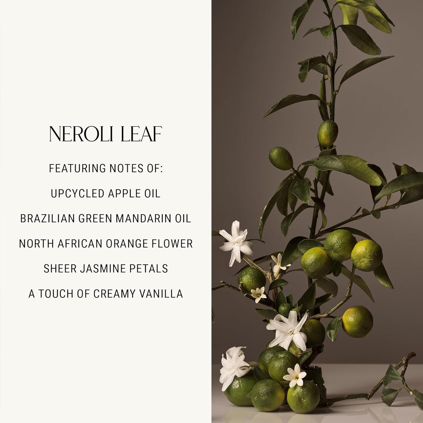 Homecourt Hand Cream, Non-Greasy Moisturizer for Hydrated, Nourished & Soft Hands, Dermatologist Tested, Clean Formula, Cece, 12 fl oz