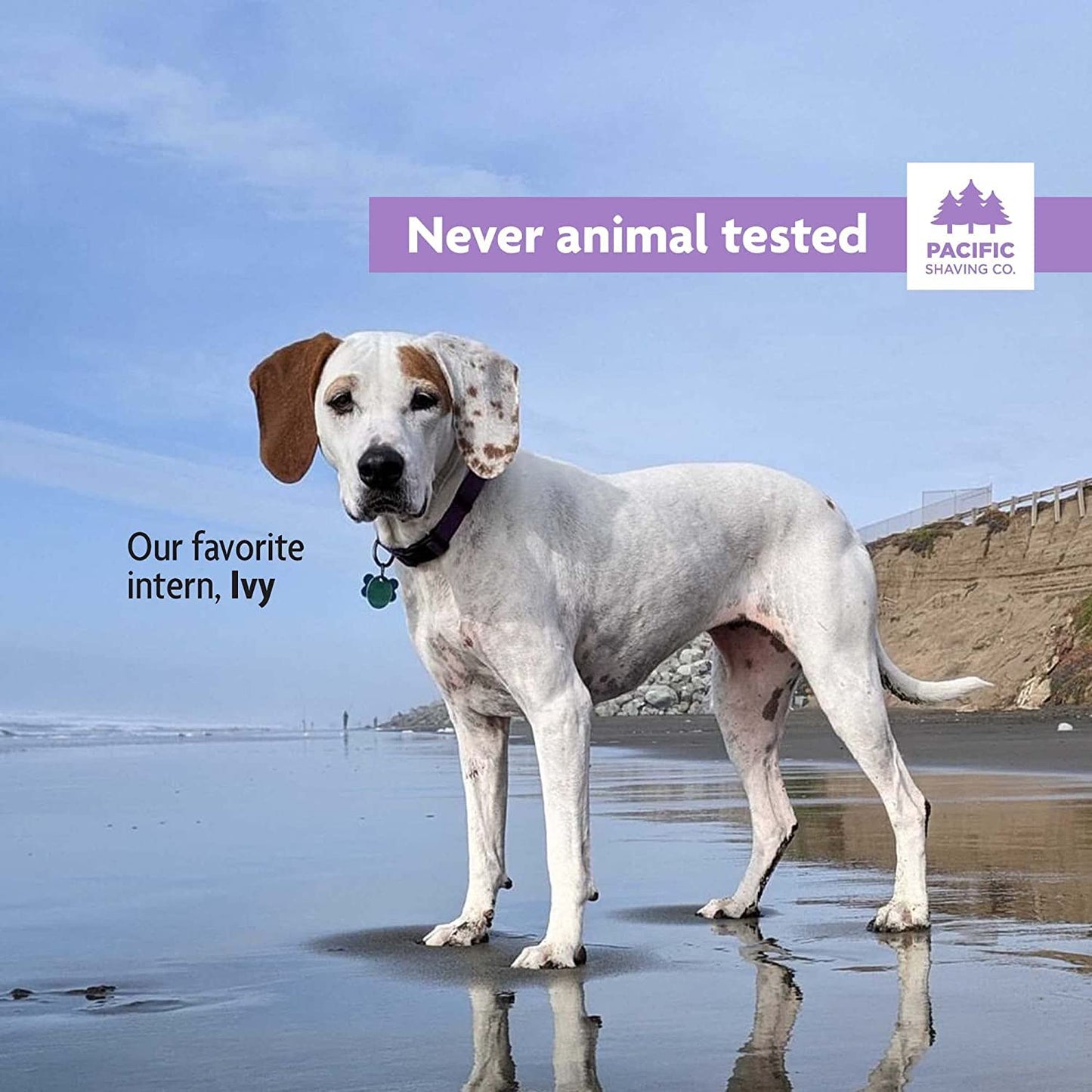 Pacific Shaving Company Purple Shaving Cream - Foaming Colorful Shaving Cream - Hydrating, Redness Reducing + Irritation Free Shave Cream (7 Oz)