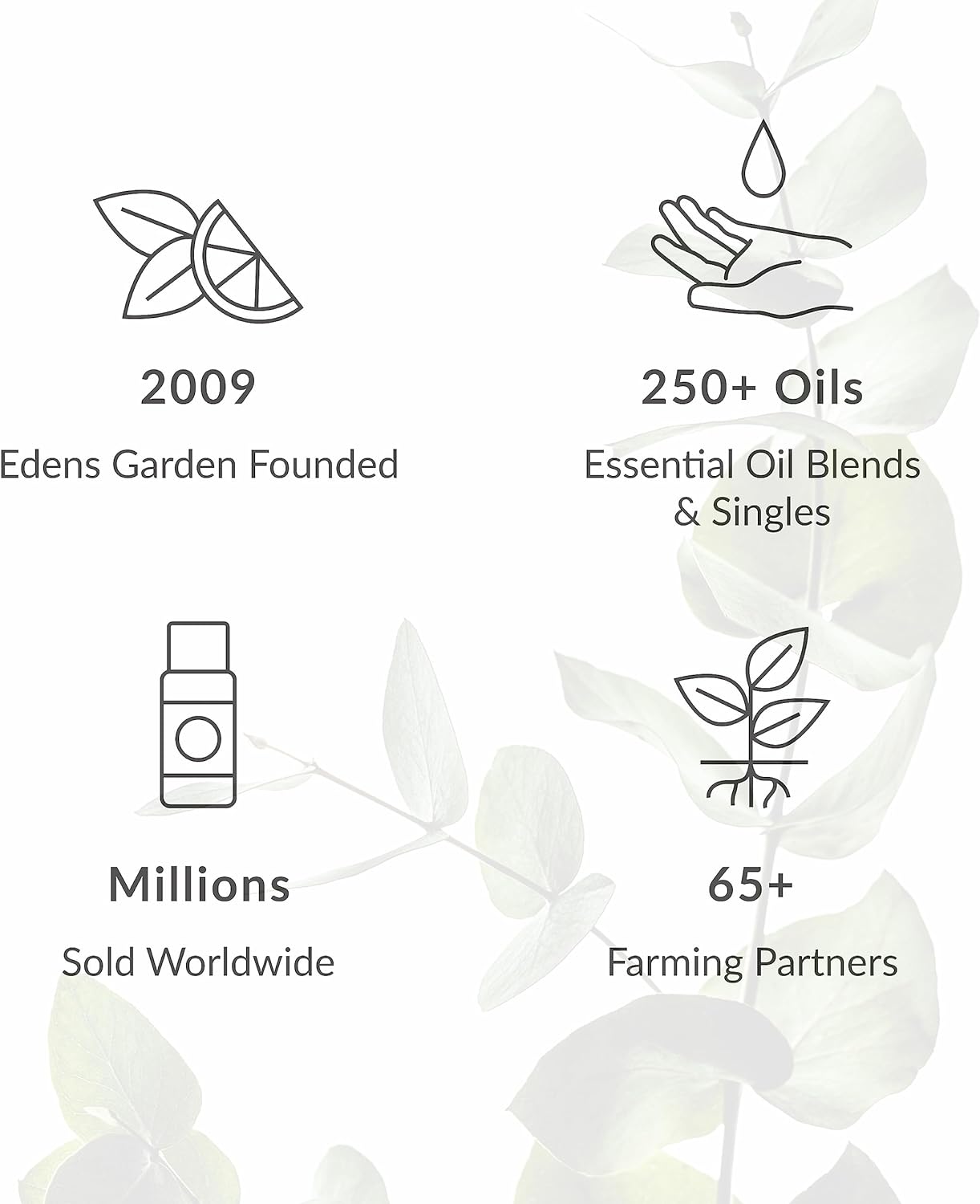 Edens Garden Good Morning Essential Oil Roll-On Blend- 100% Pure Premium Grade, Natural, Therapeutic, Aromatherapy, Kid & Skin Safe, The Best for Travel, Relaxation Pre-Diluted 10 ml (.33 fl oz)