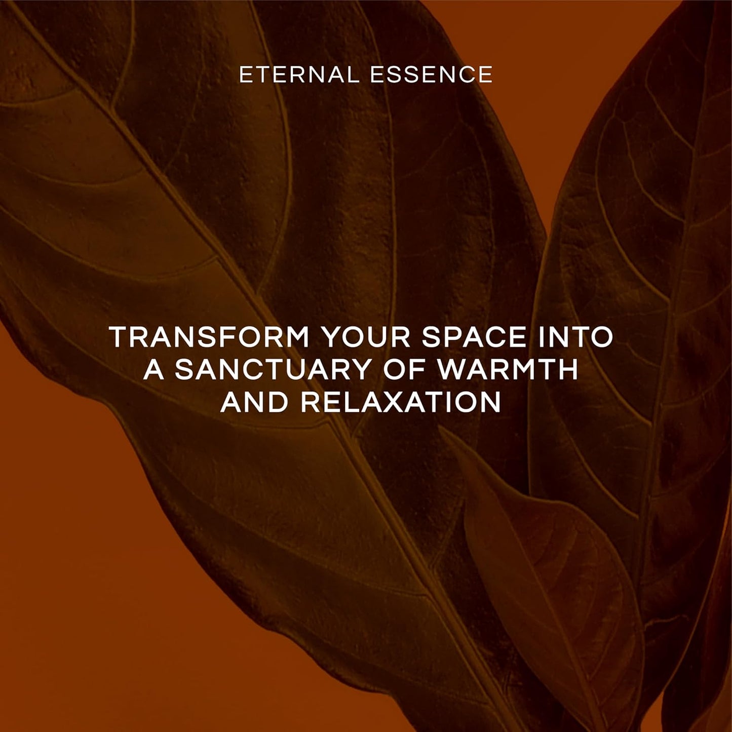 Eternal Essence Oils Girl's Night Out Set of 6 Premium Fragrance Oils - Includes Strawberry Champagne, Pina Colada, Secret Crush, Margarita, Amber Romance, and Cabernet & Neroli Scented Oils - 10ML