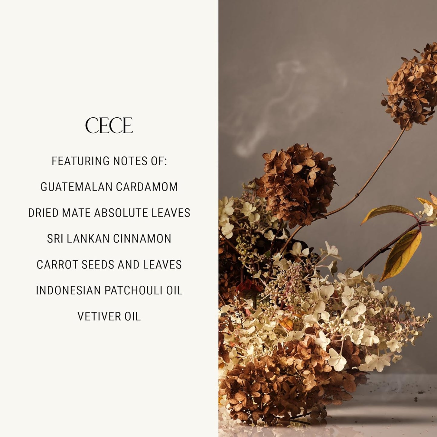 Homecourt Hand Cream, Non-Greasy Moisturizer for Hydrated, Nourished & Soft Hands, Dermatologist Tested, Clean Formula, Cece, 12 fl oz