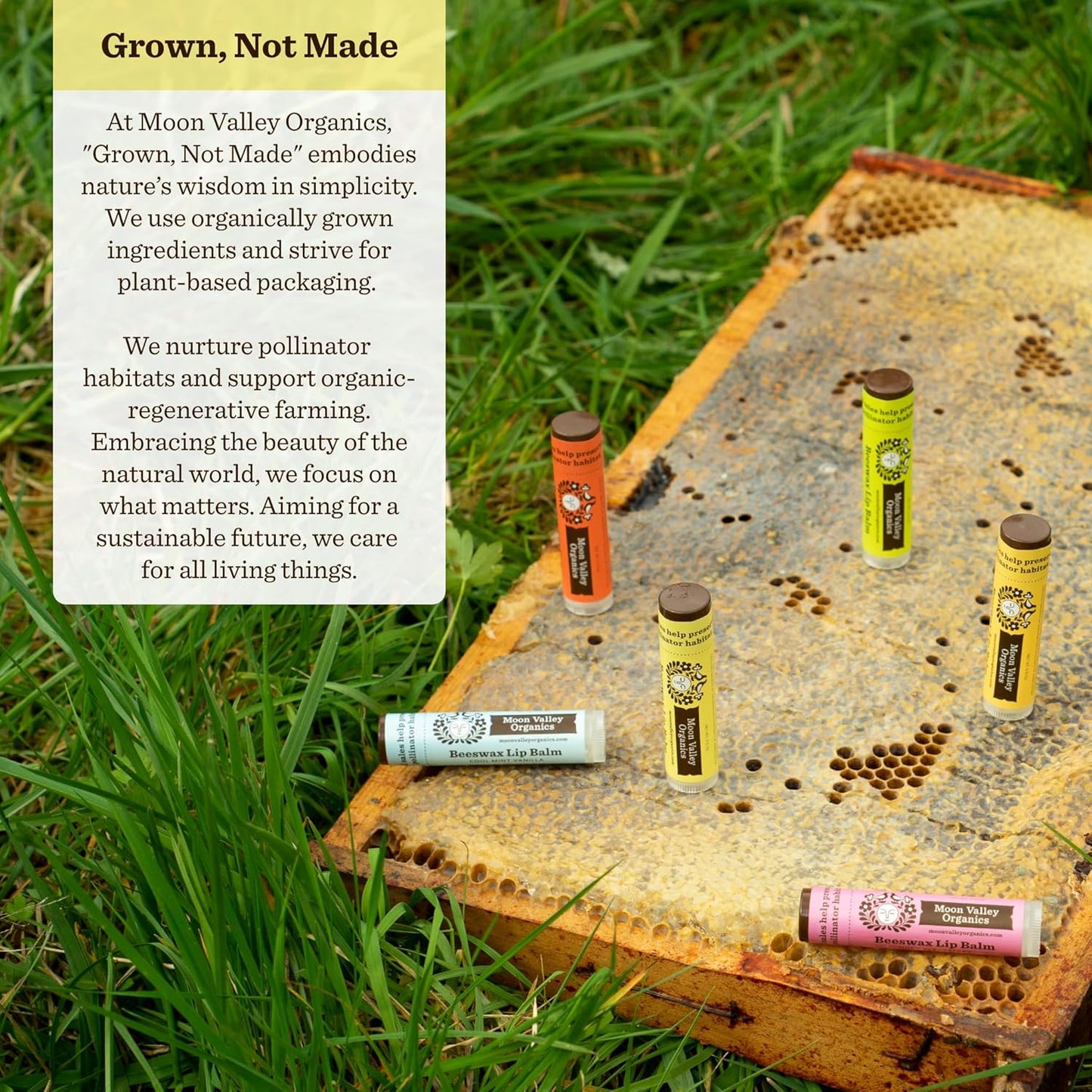 Moon Valley Organics Beeswax Lip Balm for Moisturizing Lips and Cuticles (VELVETY VANILLA, 1-Pack)